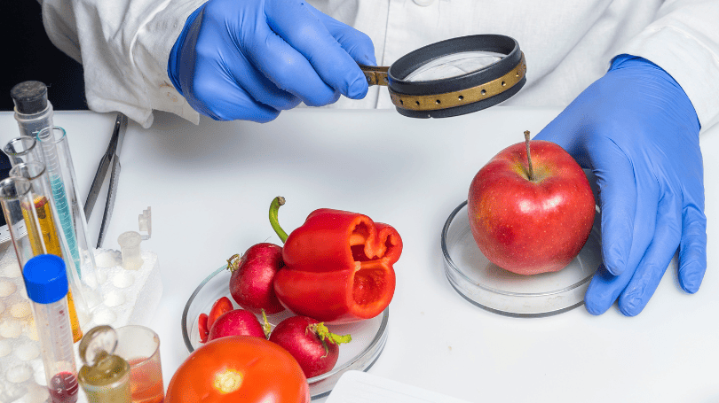 CANVA - Os Perigos para a Segurança Alimentar no Processamento de Alimentos